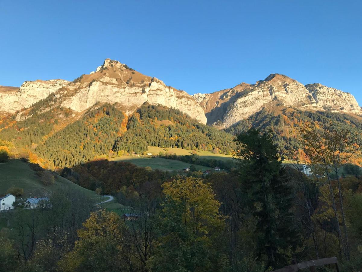 Magnifique T3 Entre Lac Et Montagne Pres D'Annecy Montmin Экстерьер фото